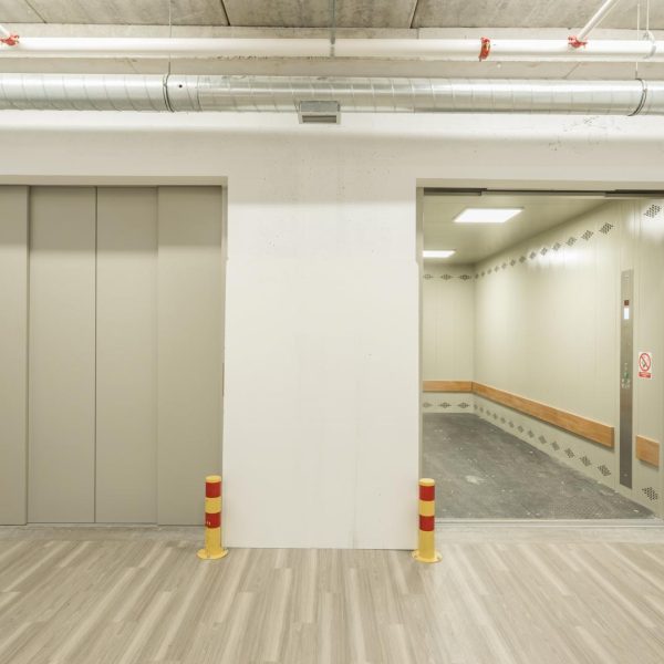 Atlas_super_gigas_slider (2)