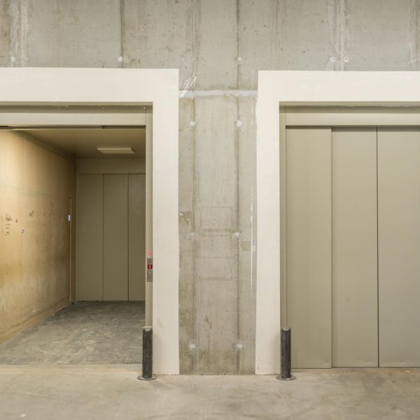 Atlas_super_gigas_slider